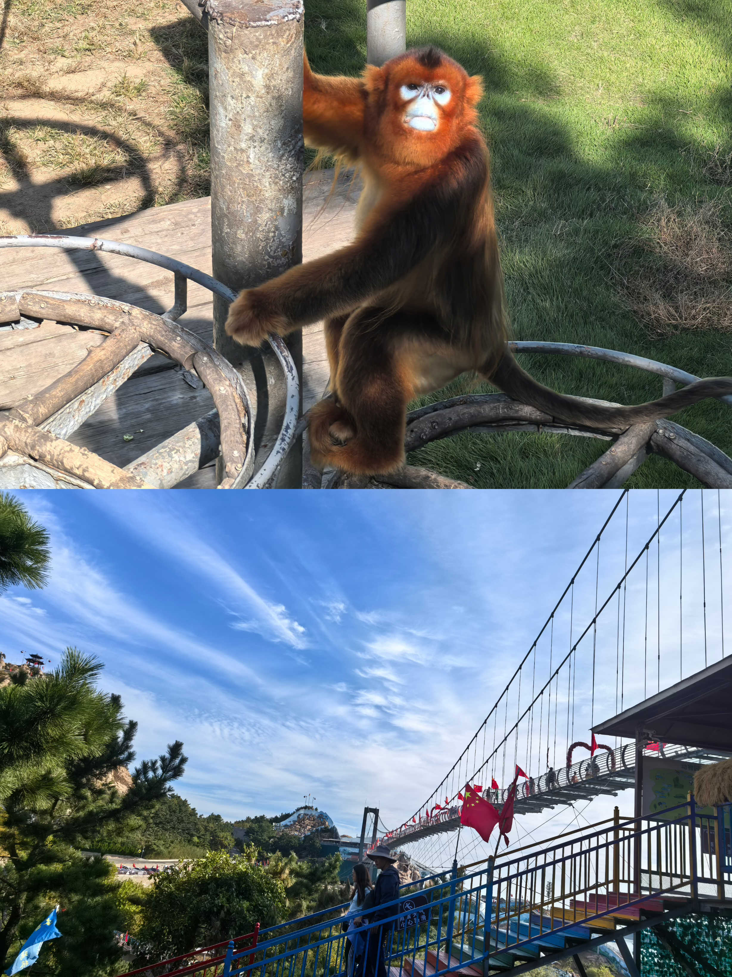 ����(�й�����)KAIYUN