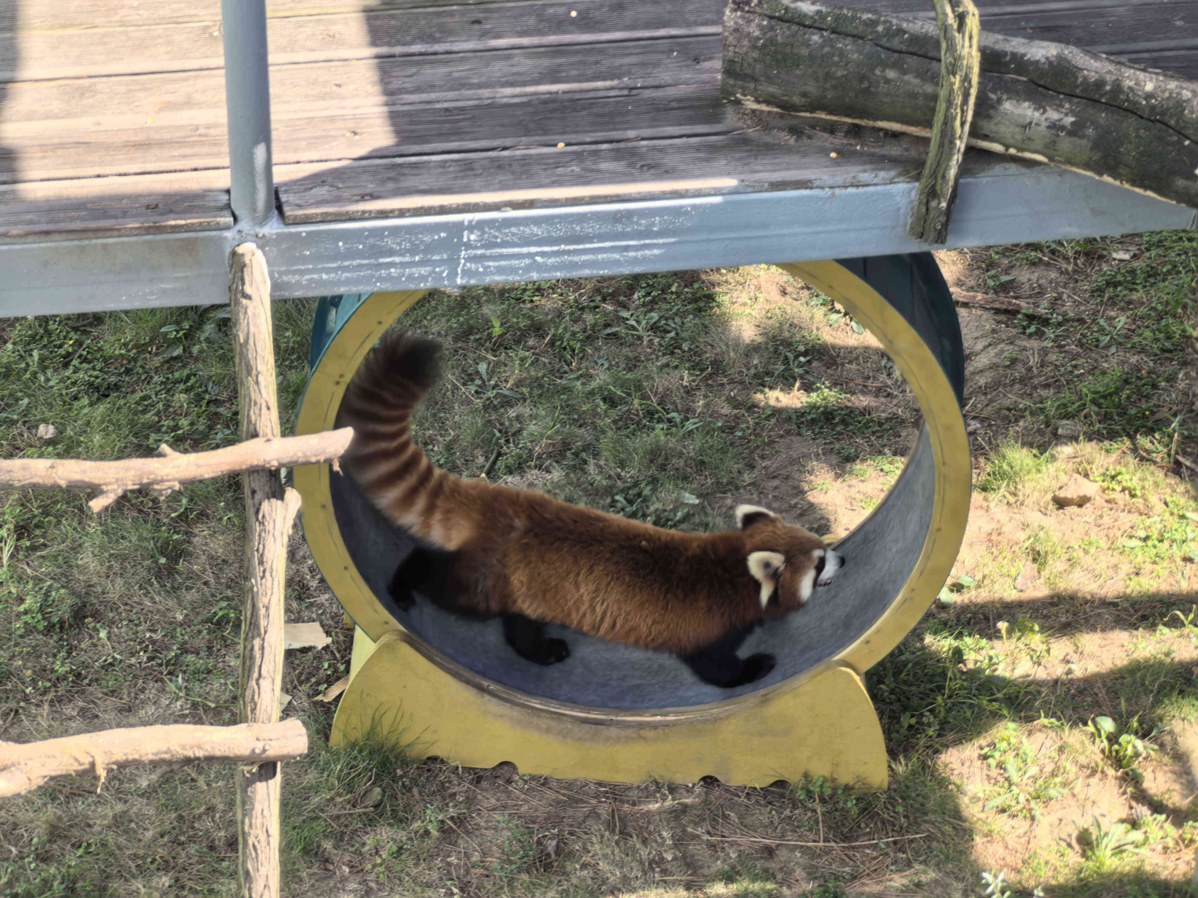 ����(�й�����)KAIYUN