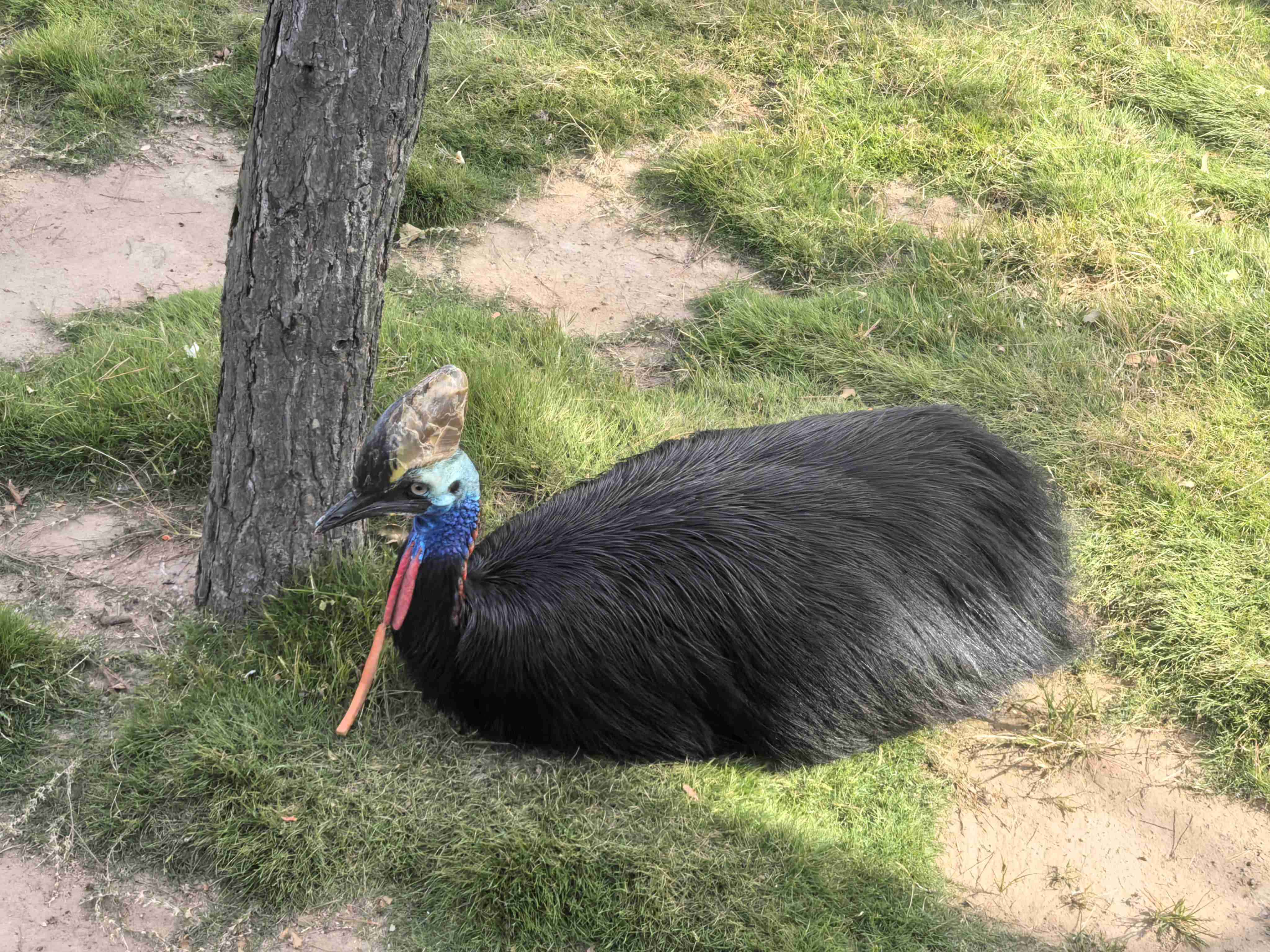 ����(�й�����)KAIYUN